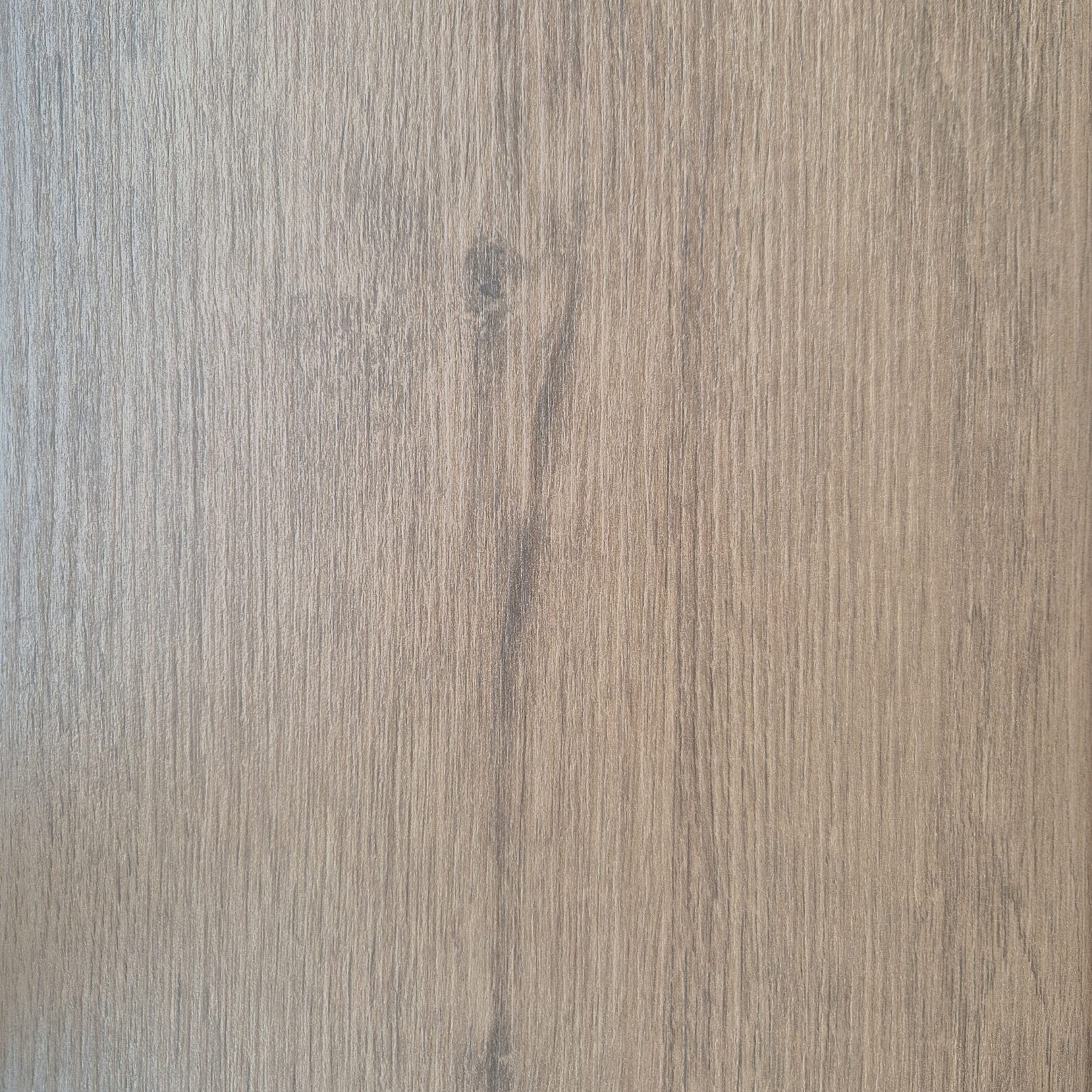 budget laminaat grey oak